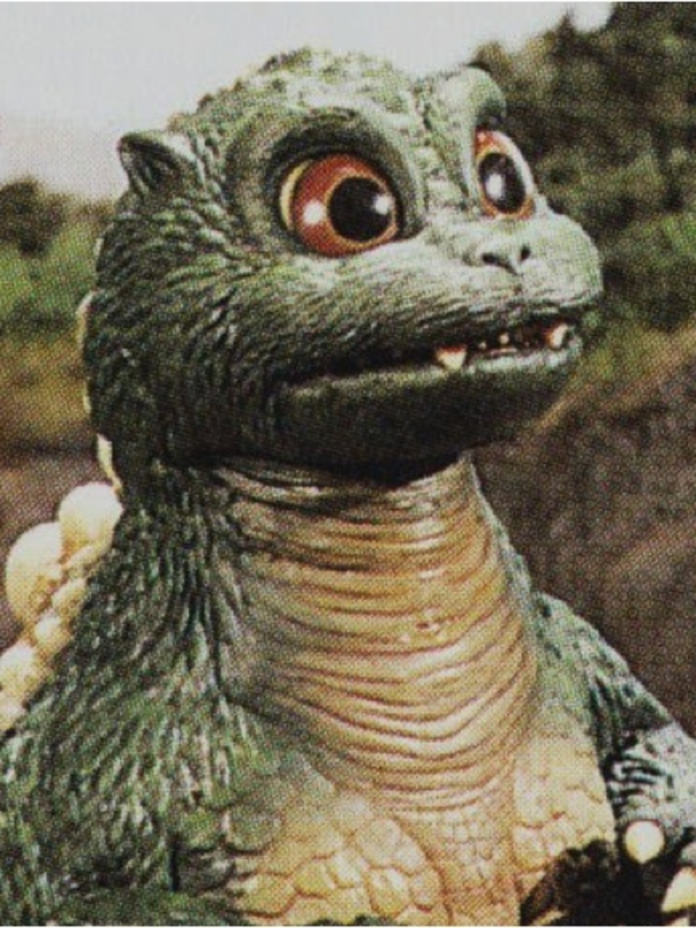 Meet your Posher, Cynthia